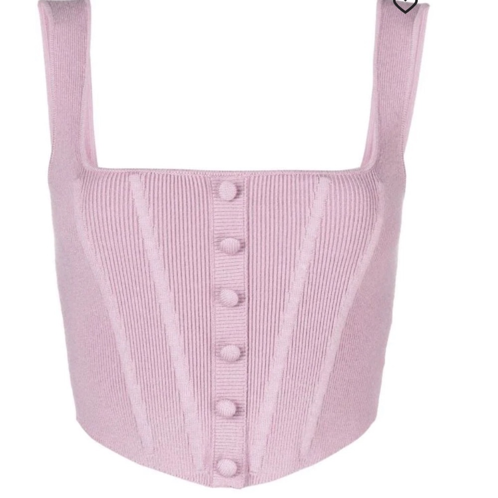 danielle guizio knitted corset